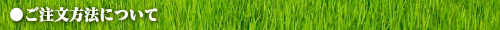 ご注文方法について